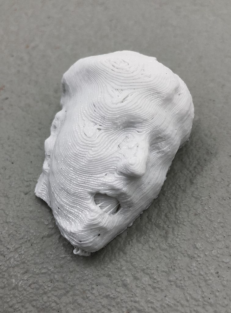 3D test print. By Yandell Walton.