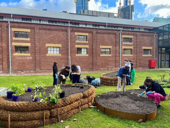 Participants of the project planting their seedlings at the Southbank Campus. Photo by Gregory Lorenzutti.