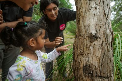 A child touches a tree trunk