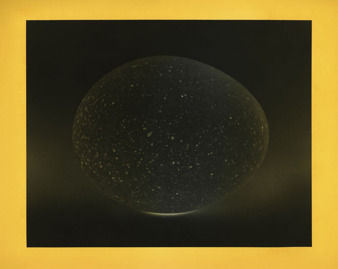 Image for Gemini